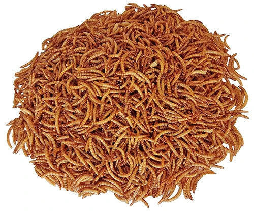C&B Dried Mealworms