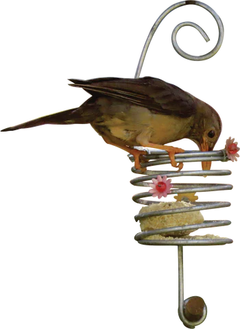 Elaine's Bird Grub Suet Ball Mini Feeder
