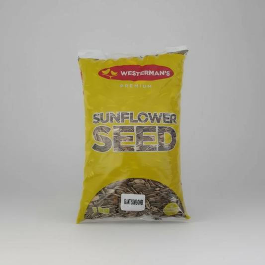 Westerman's Giant Sunflower Seed