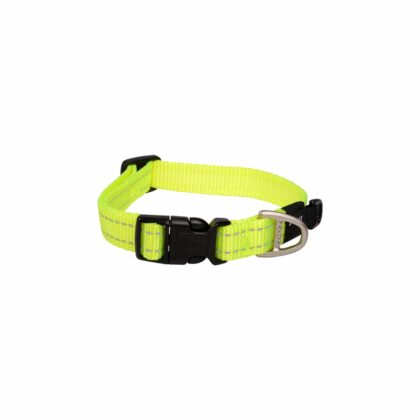 Rogz Utility Classic Collar - Dayglo