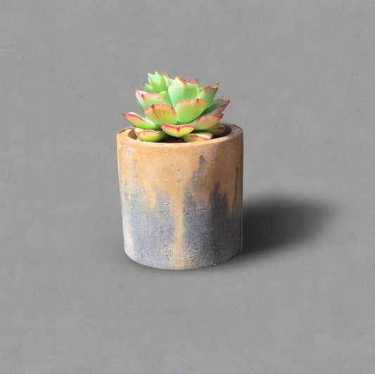 Concrete pots - Medium round M56