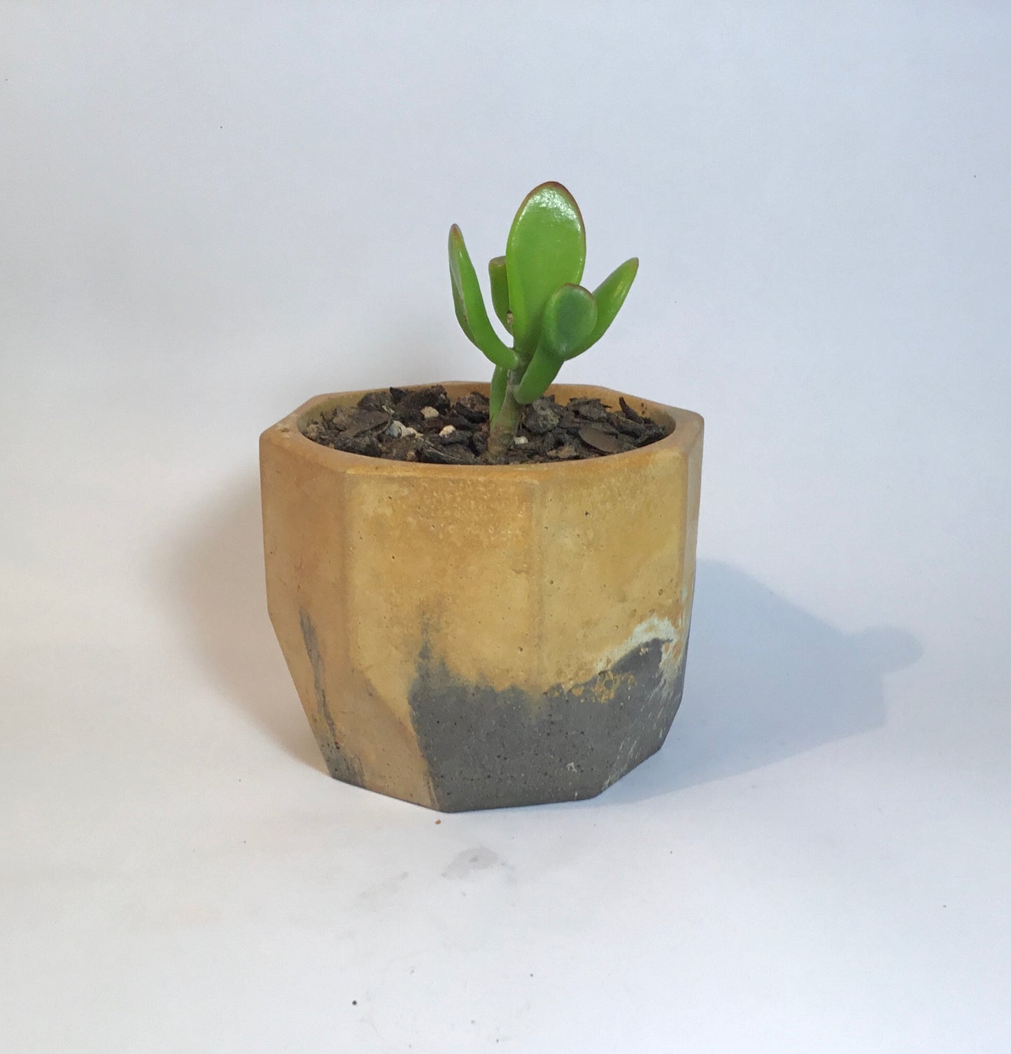 Concrete pots / planters - M6