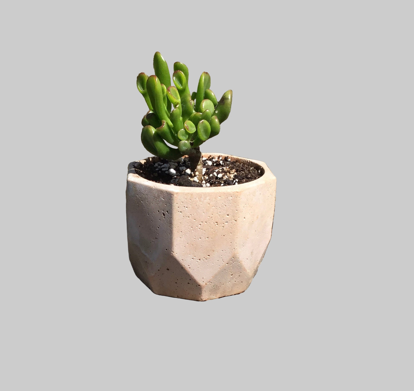 Concrete pots / planters - M9