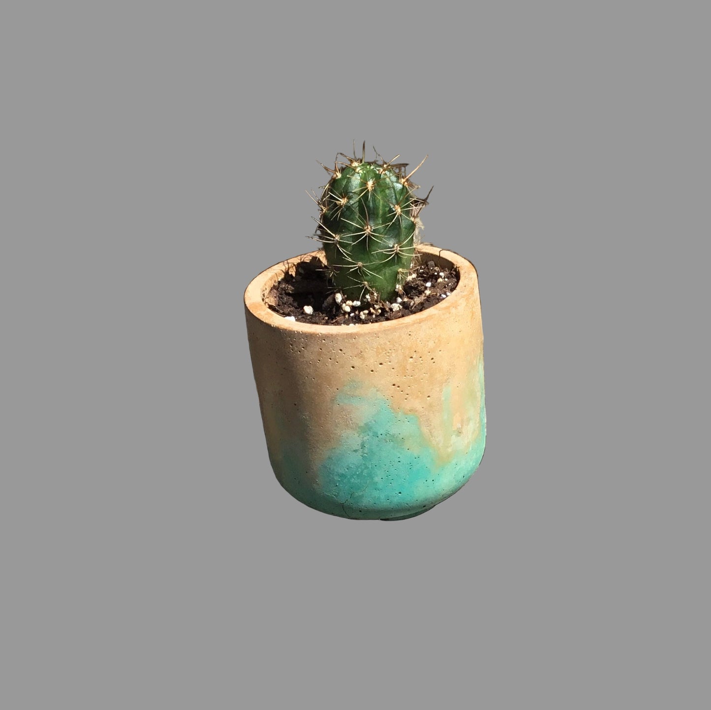Concrete pots / planters - Medium M53