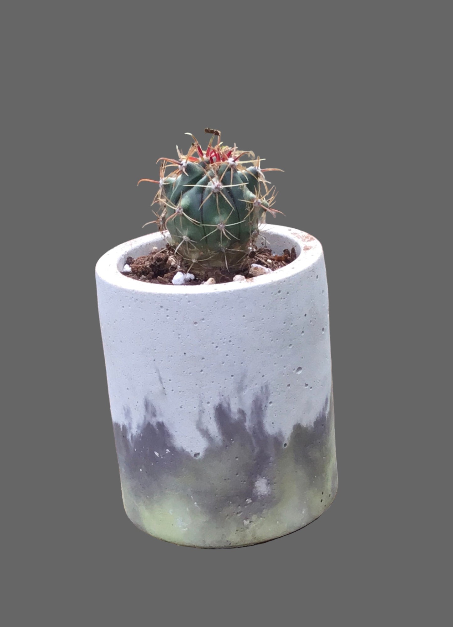 Concrete pots - Medium - M8
