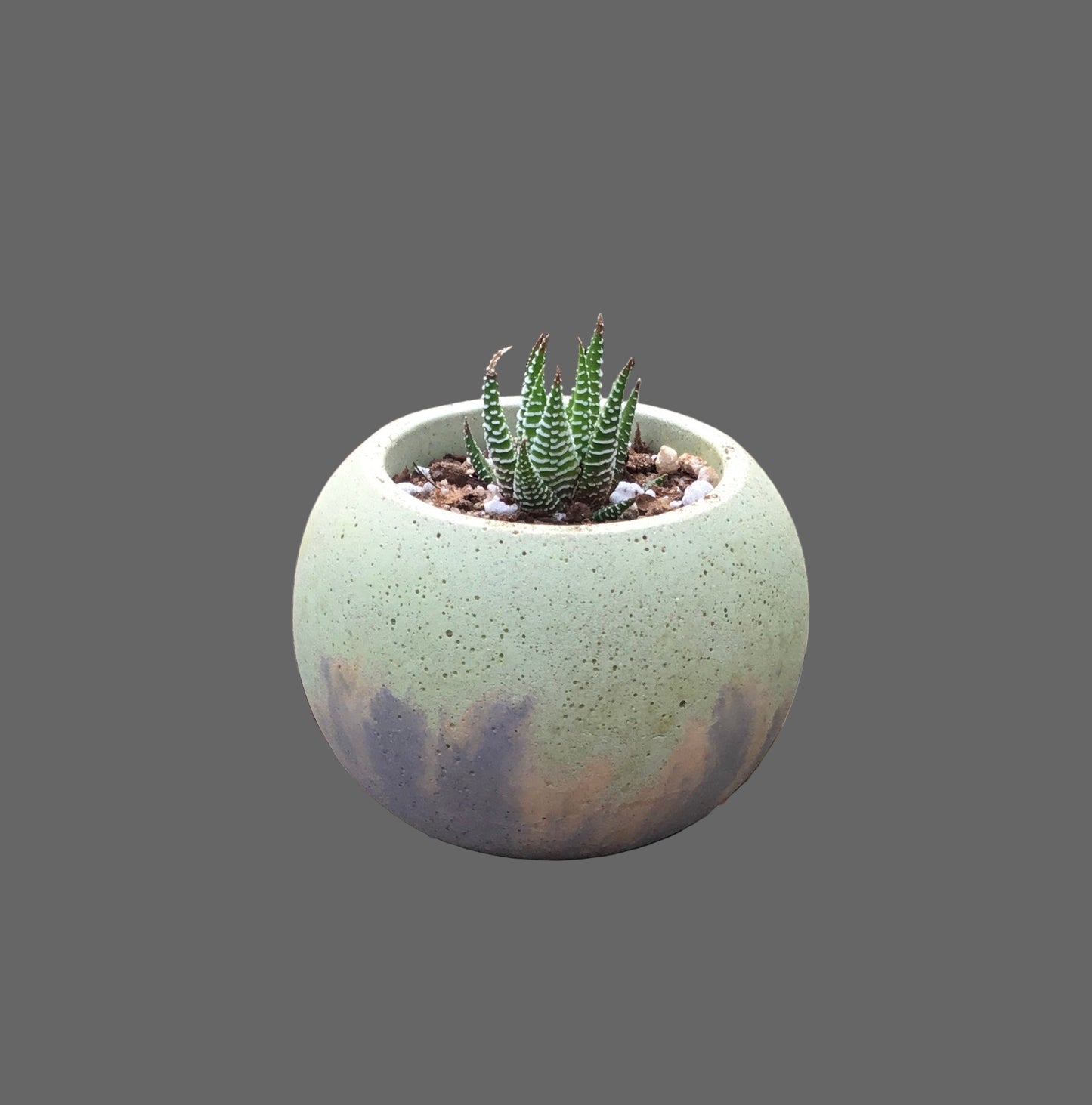 Small concrete pots - Medium M1