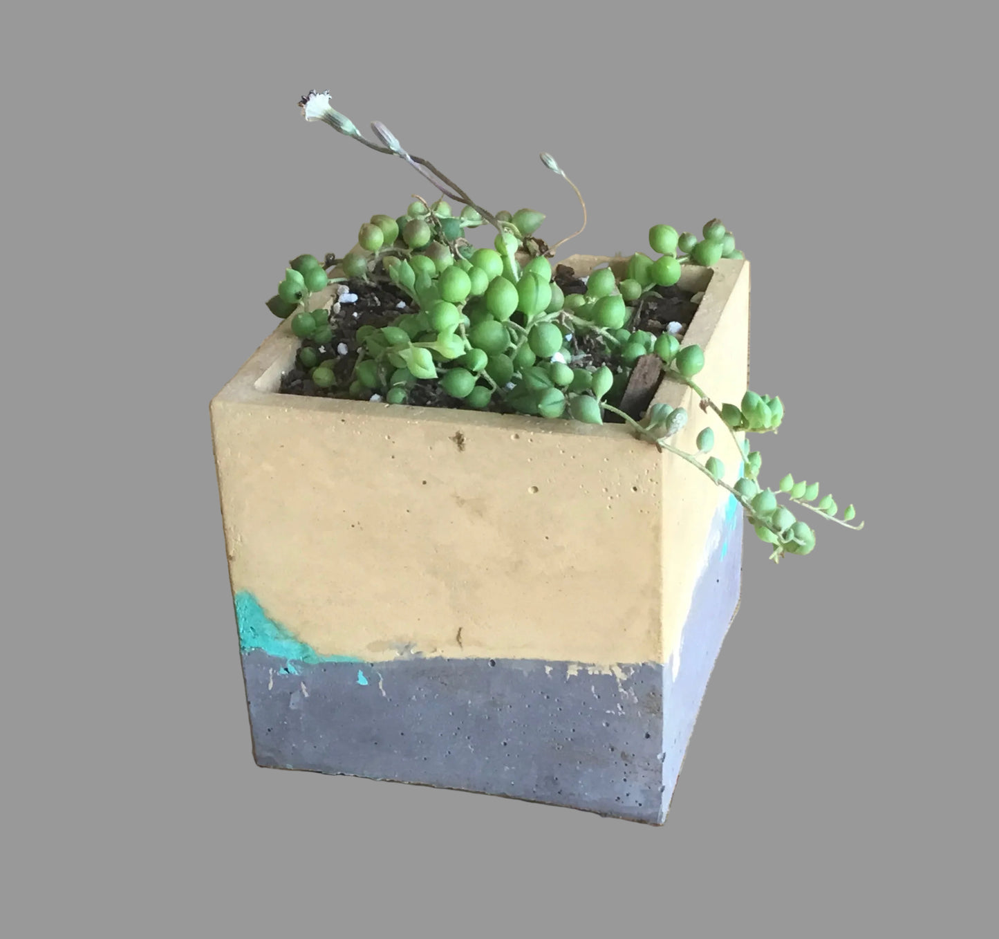 Concrete pots - Large L10