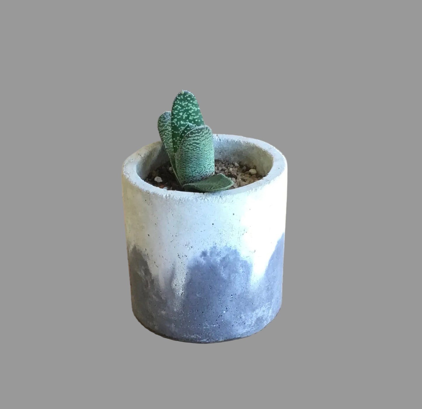 Concrete pot - Medium M62