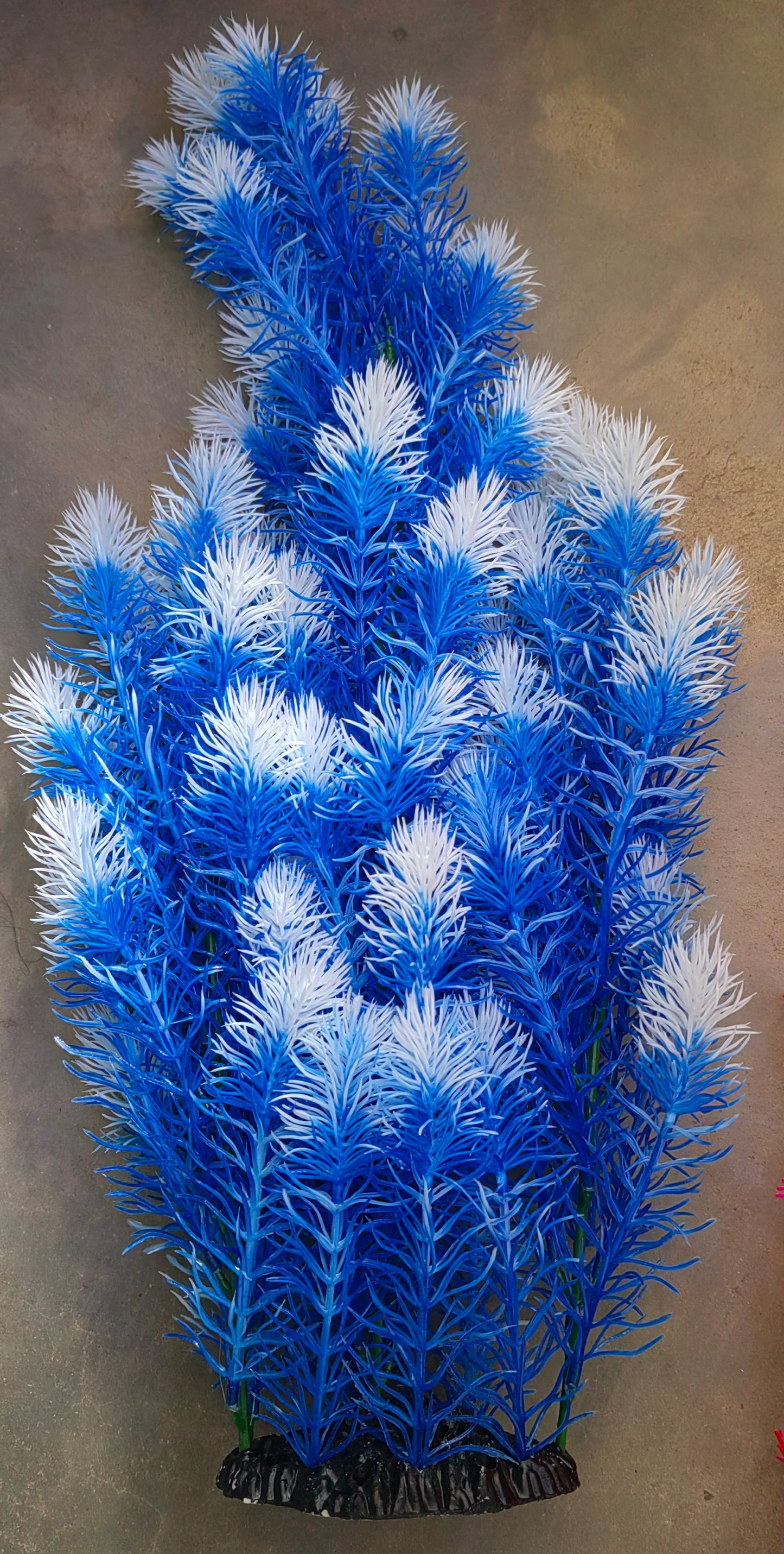 Akwa Plastic Plant 22"