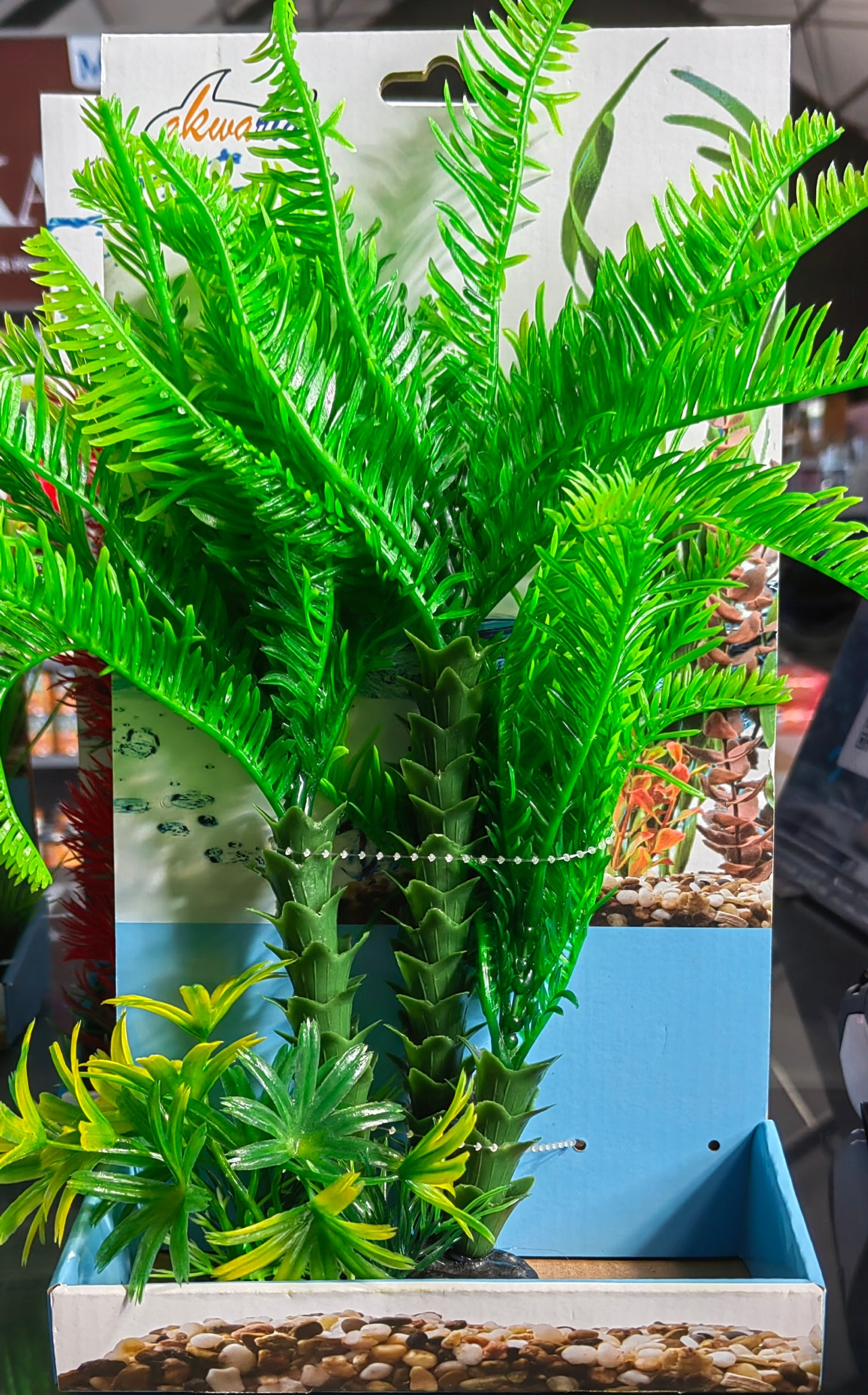 Akwa Multi Plastic Plants