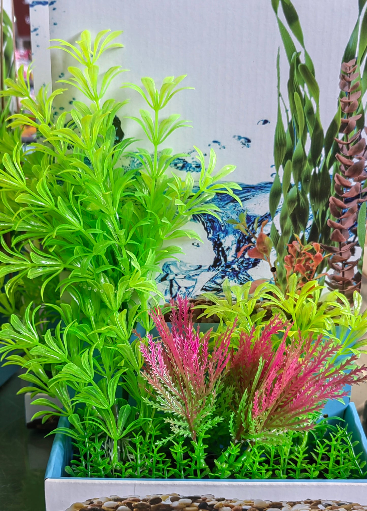 Akwa Multi Plastic Plants