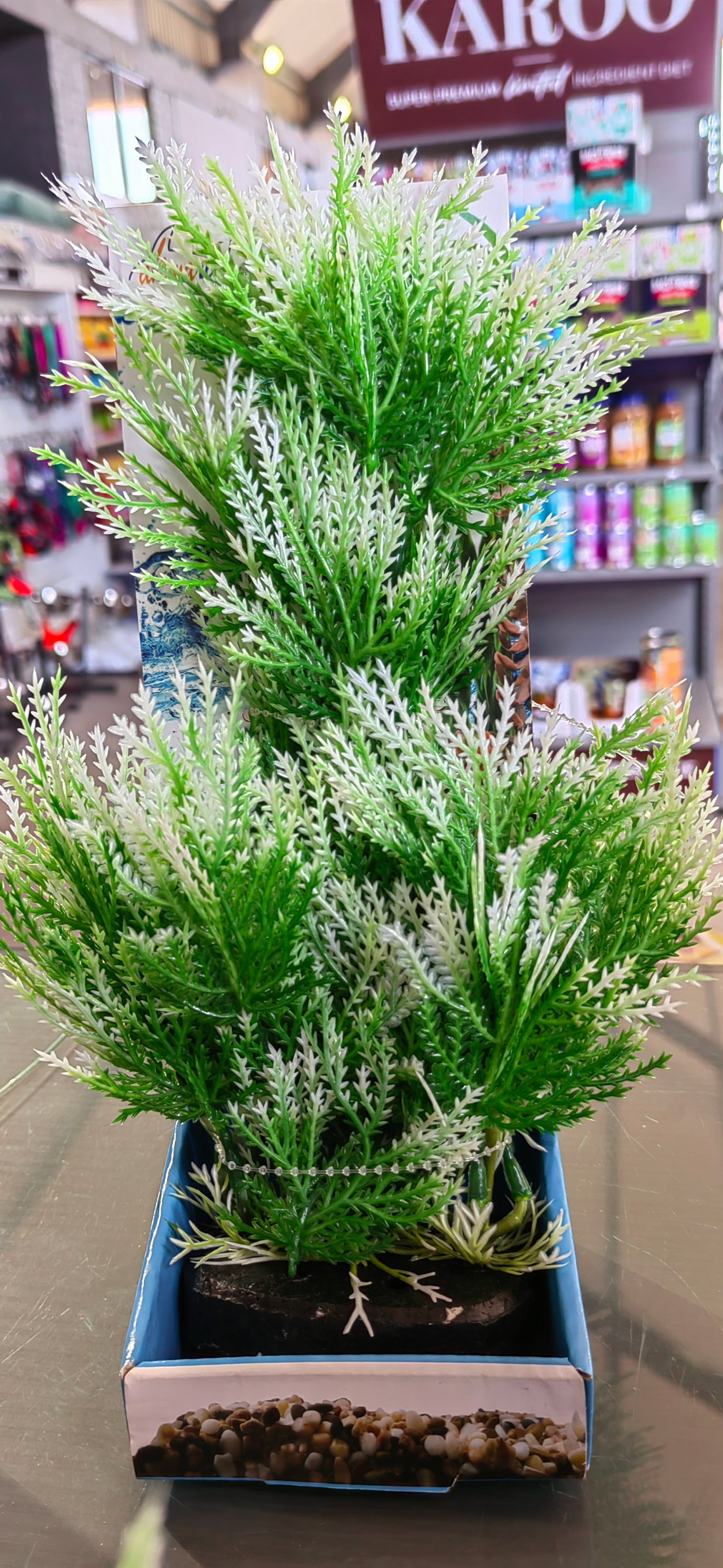 Akwa Multi Color Plastic Plants