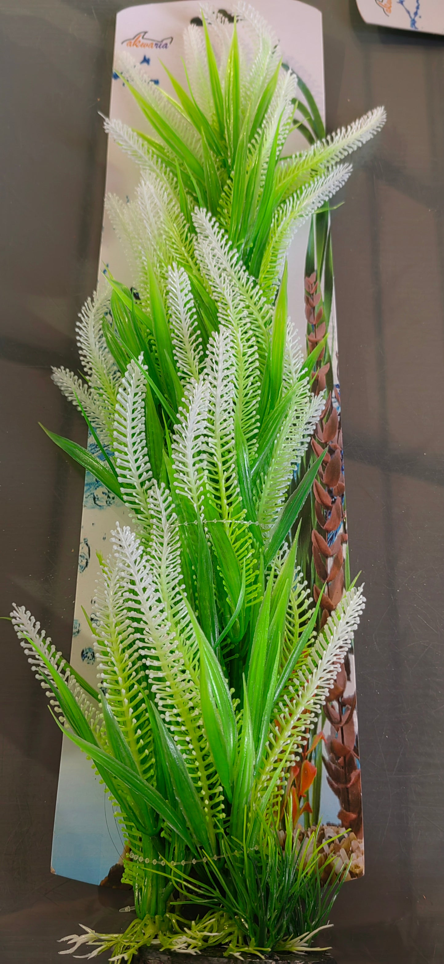 Akwa Plastic Plant - PP7030M