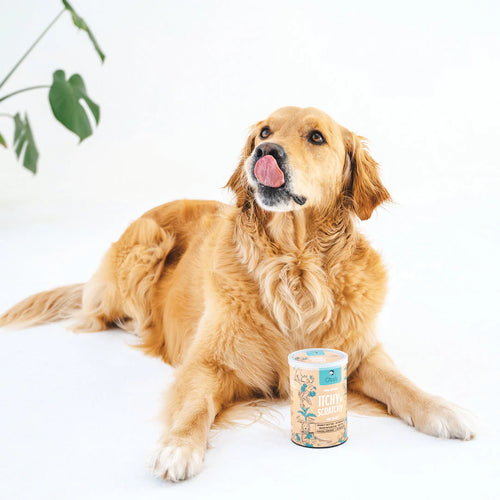 Gizzls Itchy & Scratchy Dog Biscuits