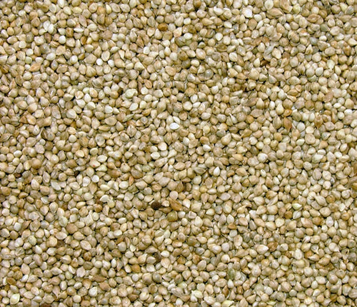 Westermans Jap Millet 1kg