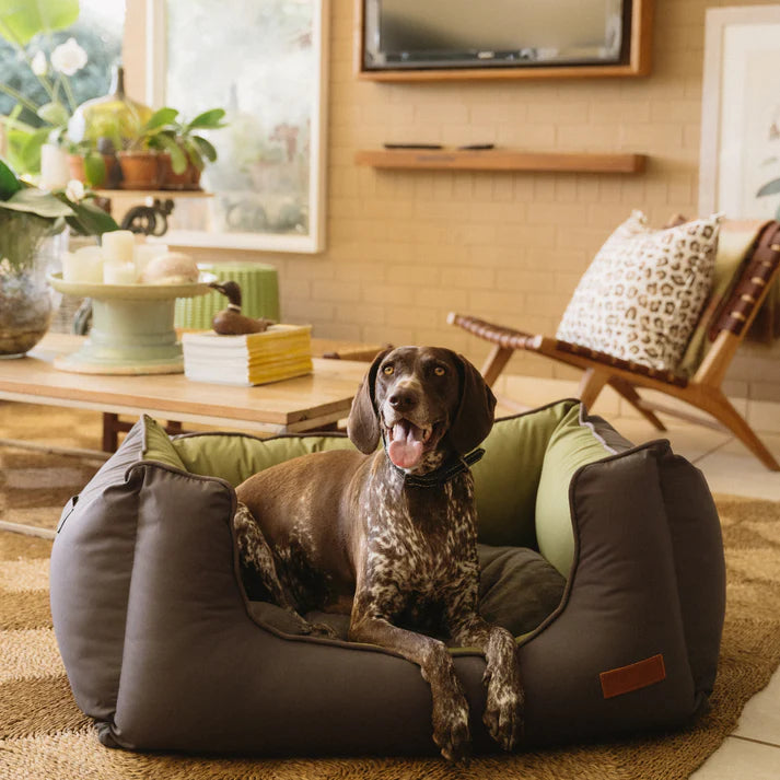 Koletto Queen Dog Bed - Dark Charcoal