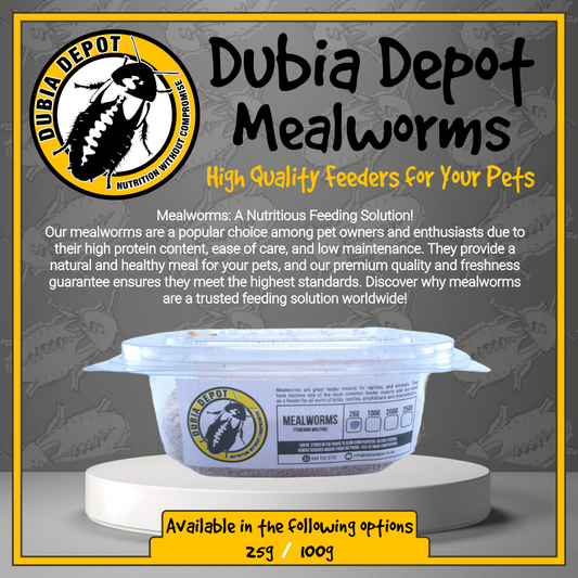 Dubia Depot Mealworms