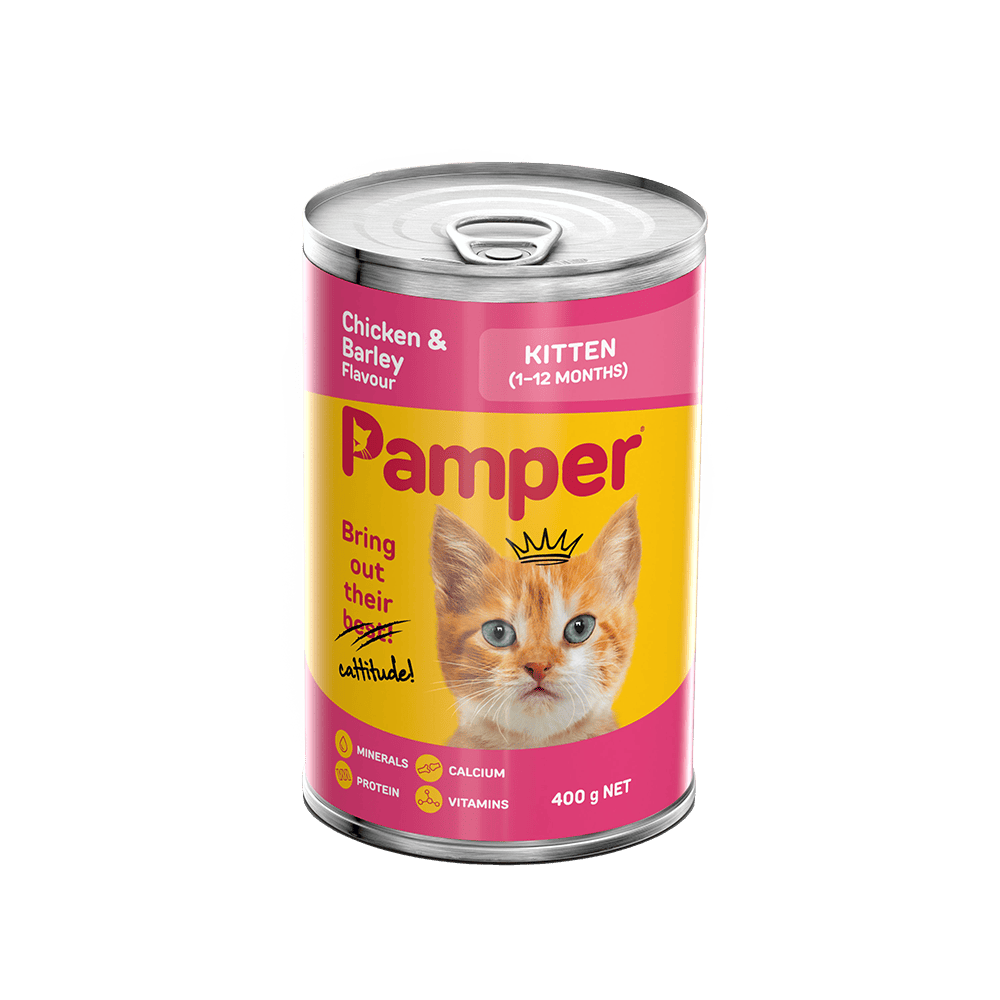 Kitten pampers best sale