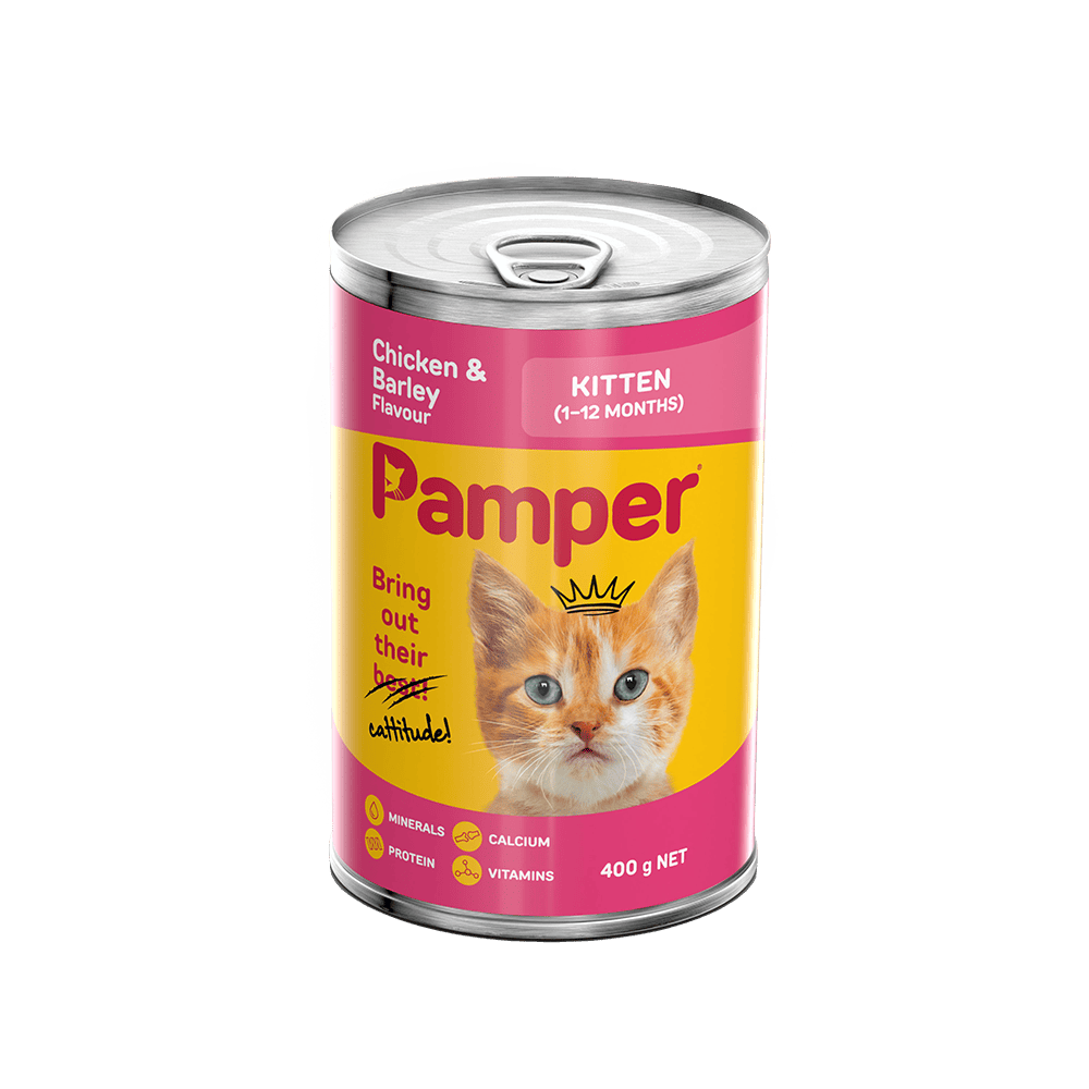 Pampers Canned Kitten