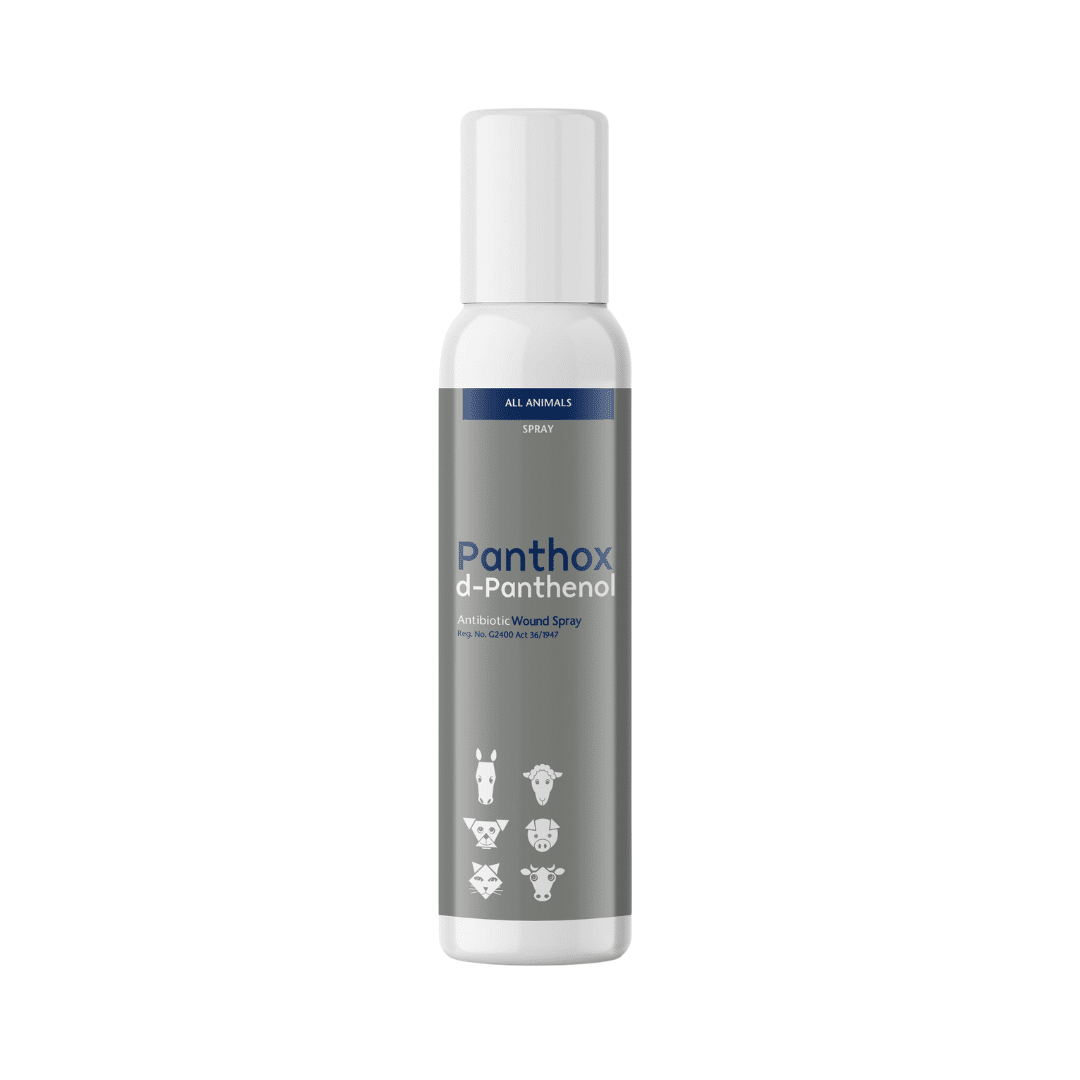 Panthox Wound Spray Clear 200ML (SILVER)