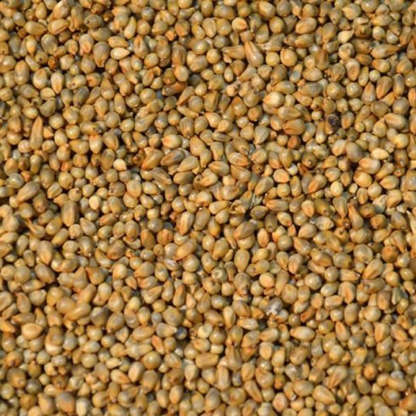 Westermans Babala 1Kg