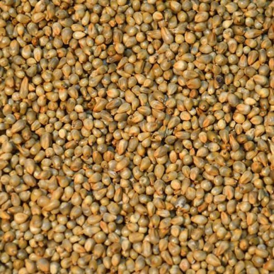 Westermans Babala 1Kg