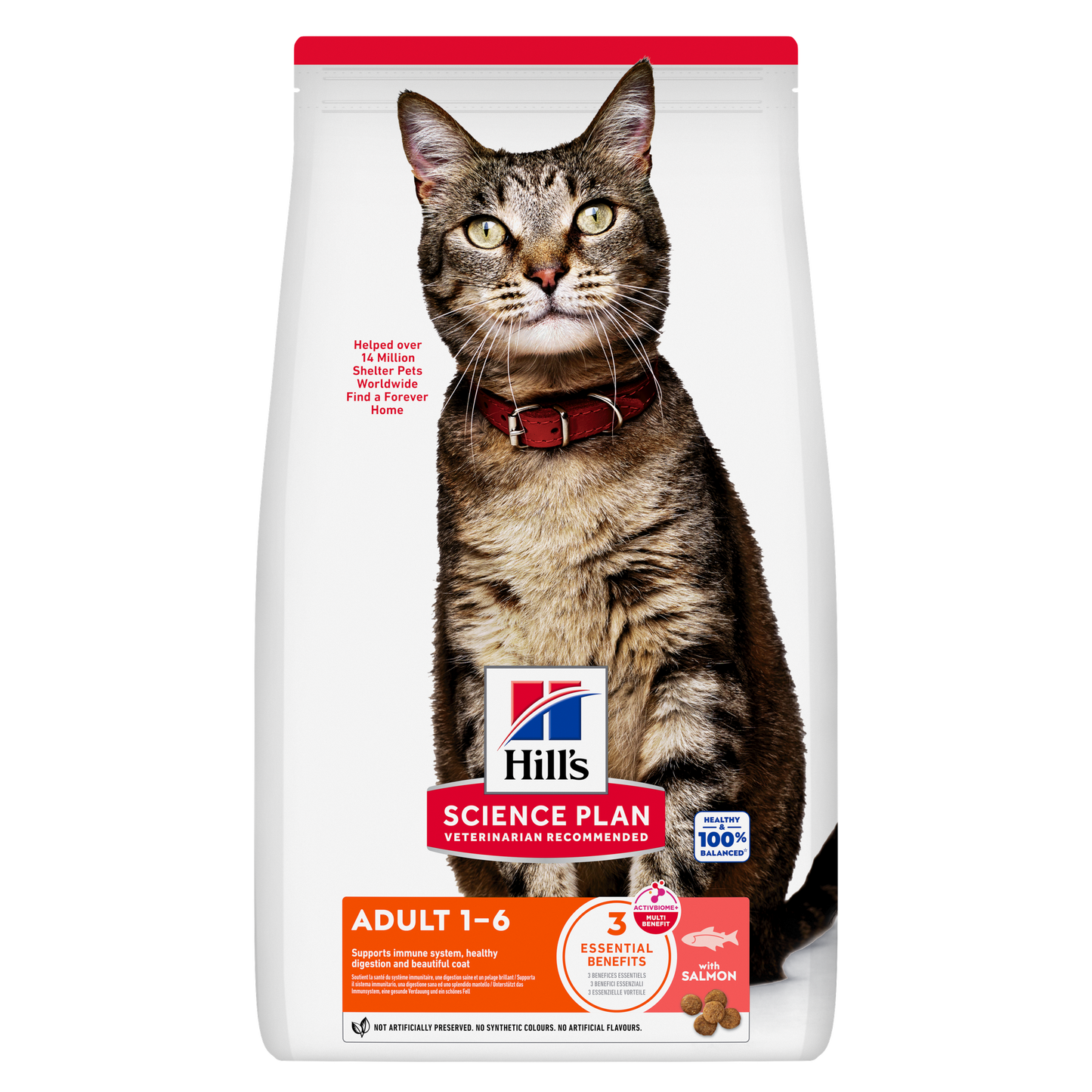 Hill's Science Plan Adult Cat Salmon