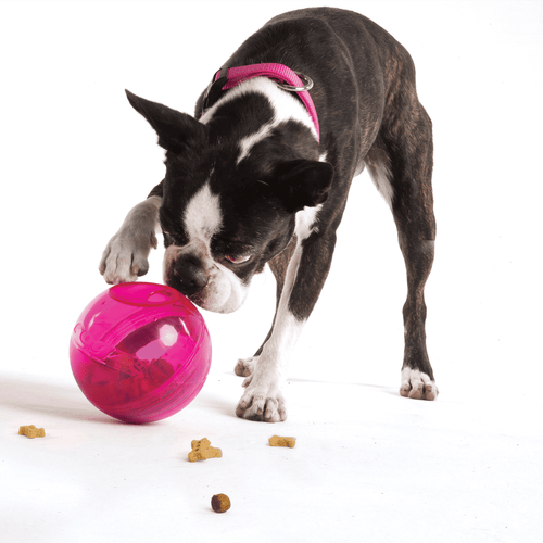 Rogz Tumbler Treat Toy - Pink