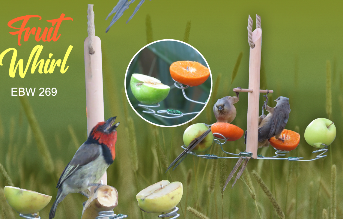 Elaines Birding Fruit Whirl