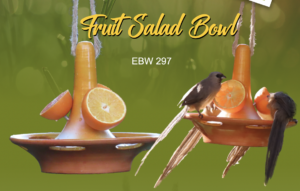Elaine's Birding Fruit Salad Feeder