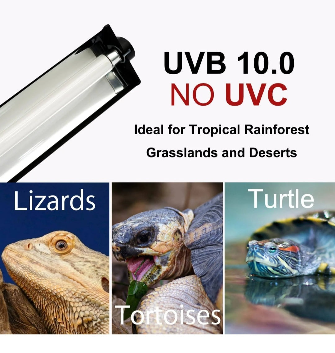 Giangarden High Output 8W T5 5.0 & 10.0 UVB Reptile Lighting Kit