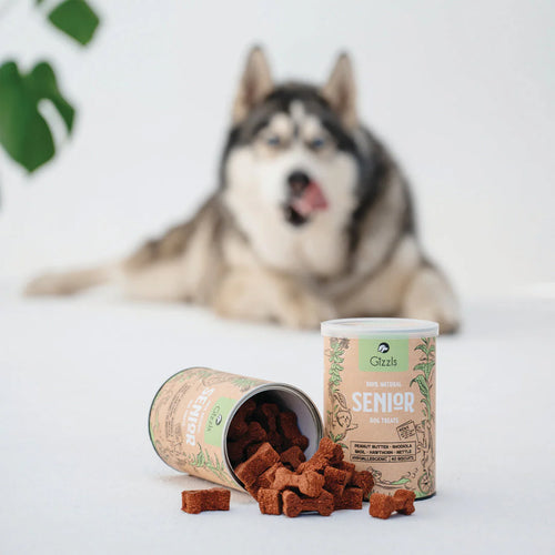 Gizzls Senior Dog Biscuits