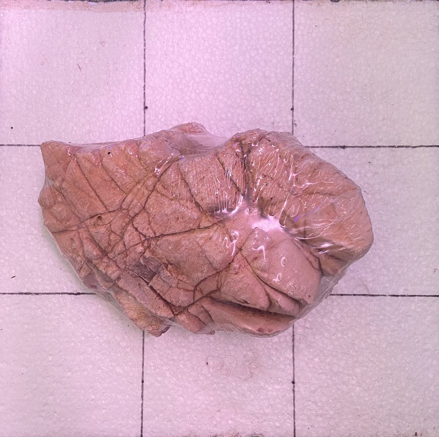 Shell Vein Rock