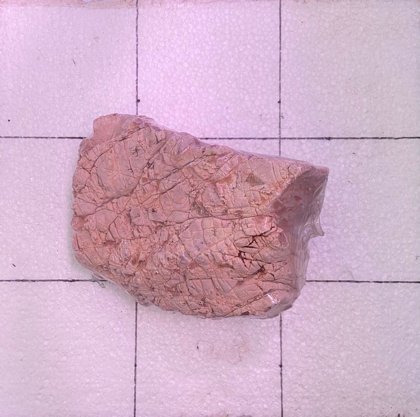 Shell Vein Rock