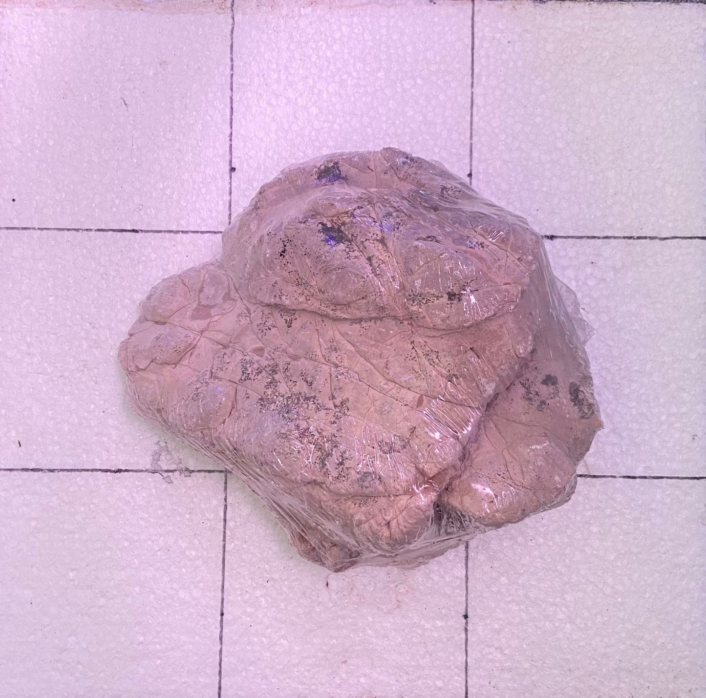 Shell Vein Rock