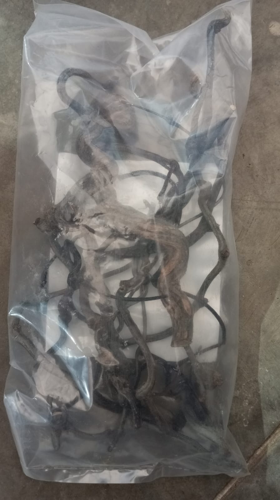 Dark Detailing Twigs 100g