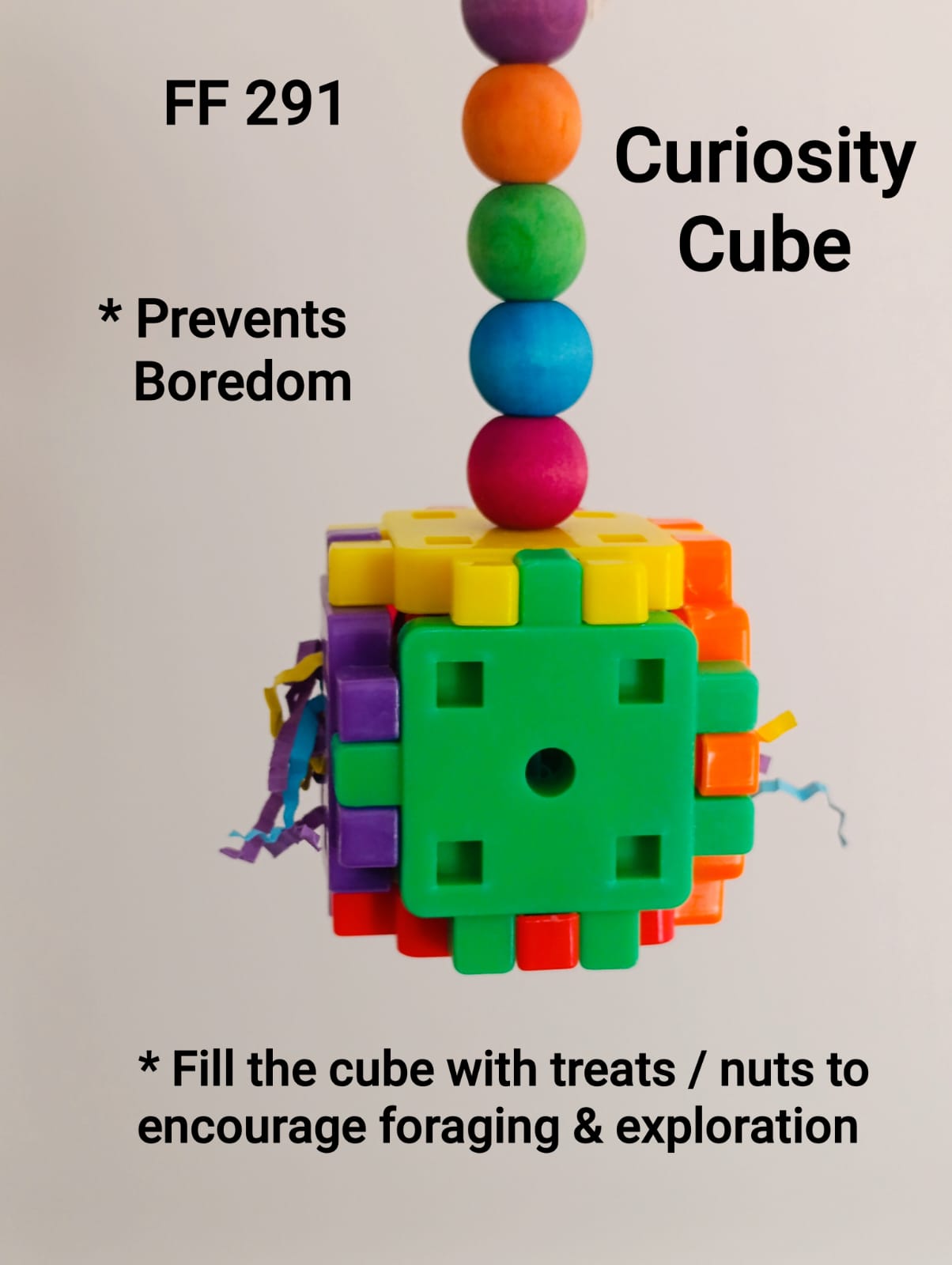 Curiosity Cube Bird Toy