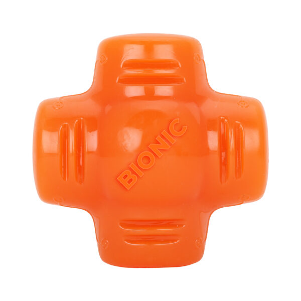 Bionic Treat Star Toy