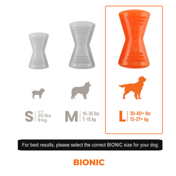 Bionic Bone Toy