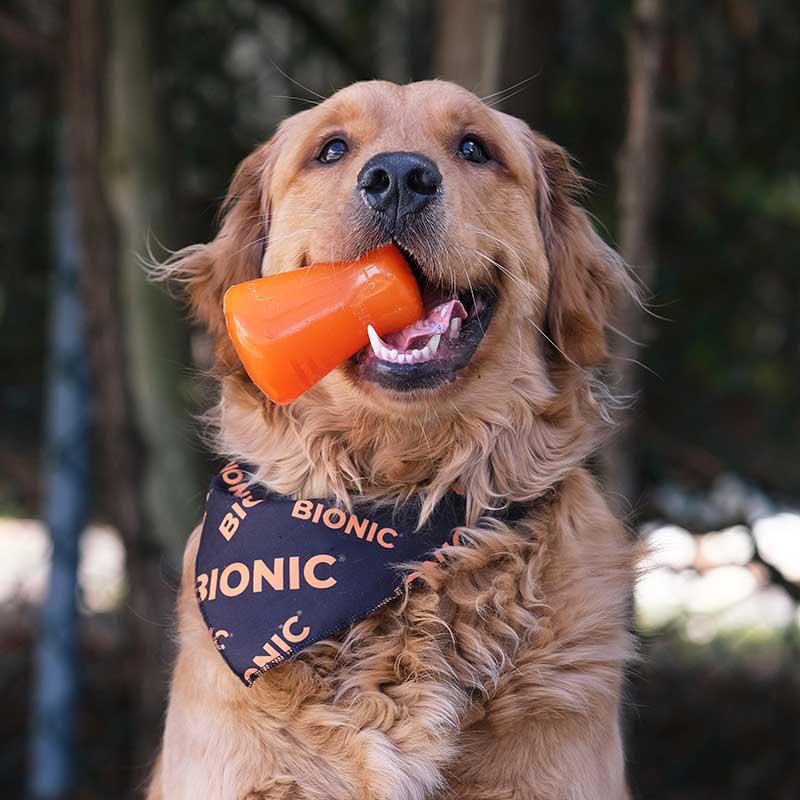 Bionic Treats Shaker