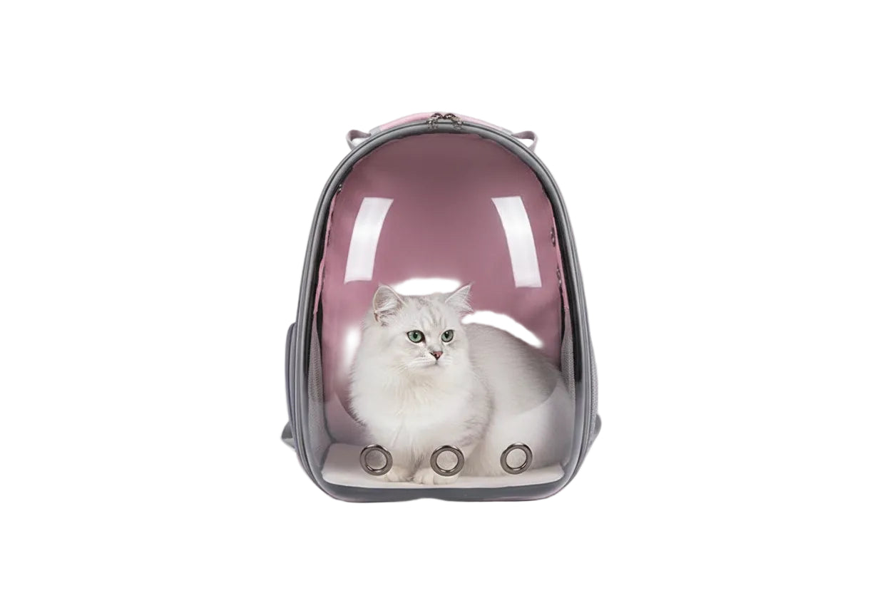 Transparent Backpack Carrier