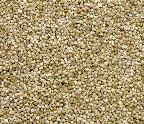 Westermans Jap Millet 1kg