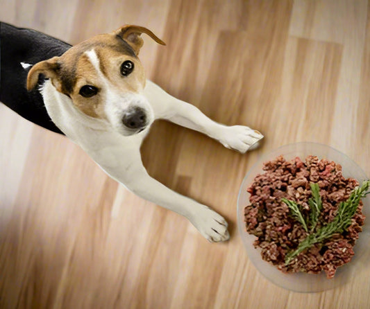 Yummies Pet Treats - Pet Mince 500g