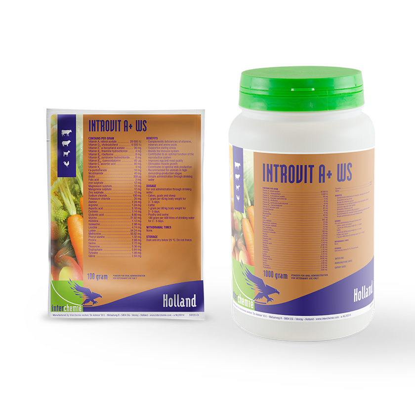 Introvit A+ WS 100G