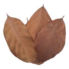 Nature Boys Jack Fruit Leaves 10pc