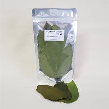 Nature Boys Mulberry Leaves 12 - 18cm 10pc