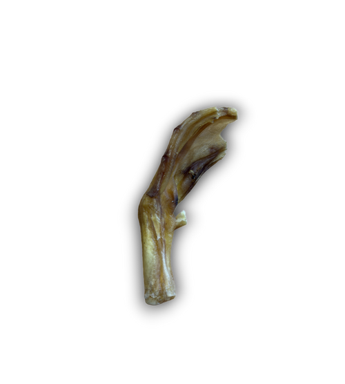 Duck Feet Singles