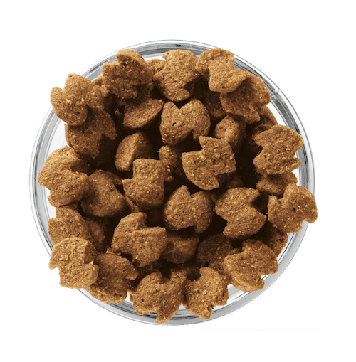 Eukanuba 1+ Adult Small to Medium Breed - Rich lamb & Rice - 12kg