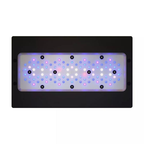 Radion XR30 G6 Blue LED Light Fixture