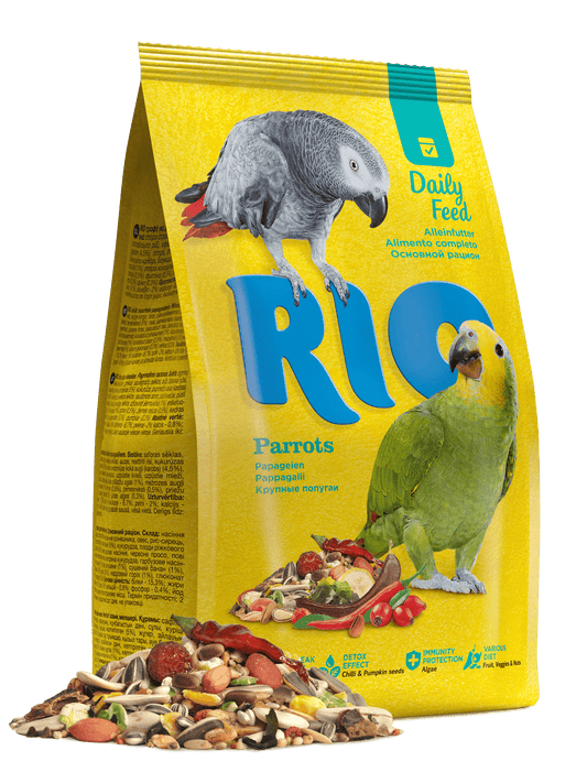 Rio Daily Feed - Parrots